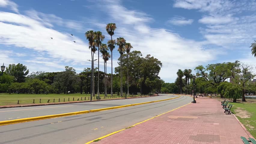 Buenos Aires Park filled with palm trees under a bright blue sky. Argentina, South America