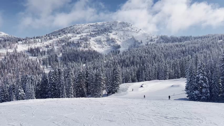Landscape wide shot tilting up to reveal a stunning snowy rocky mountains covered in pine trees from Brighton Ski Resort in Utah, USA on a sunny winter day with skiers below on a ski path