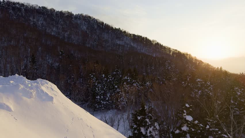 Winter Peaks in Nagano, Japan – Snow-capped mountains rise above a dense forest in Nagano, showcasing Japan’s serene winter landscape.