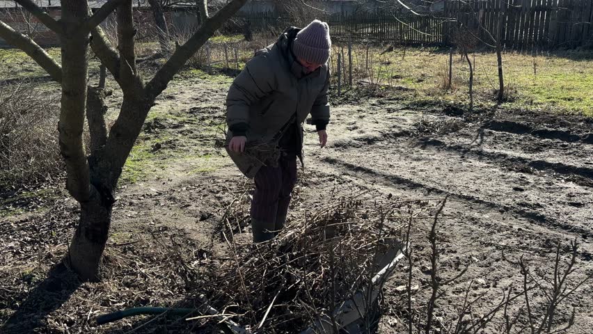 Elderly Gardener Tending to Winter Garden, Clearing Branches Under a Blue Sky in a Quiet Rural Setting