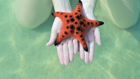 Underwater Stock Photos, Royalty-Free Images and Vectors - Shutterstock