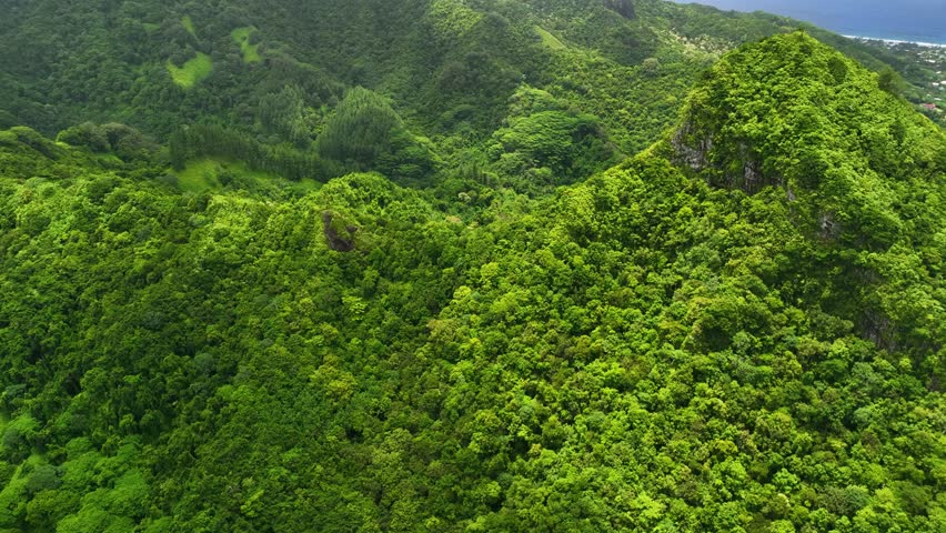 Aerial view of lush tropical forest and vibrant mountains overlooking the serene pacific ocean, Avarua, Rarotonga, Cook Islands.