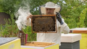 A beekeeper carefully checks a frame filled with bees at an apiary. The smoker is gently puffing smoke to calm the bees as he works on a warm, sunny day. - Powered by Shutterstock - Get 15% off with code: PIKWIZARD15