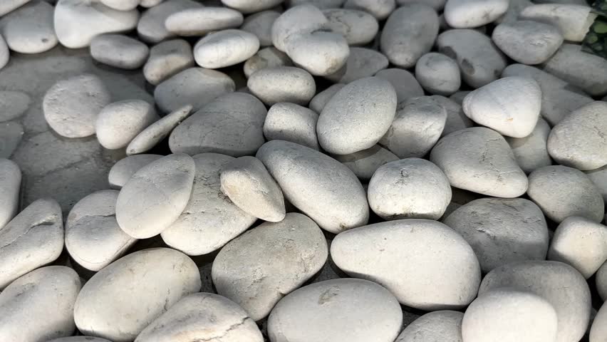 Close-Up View of Smooth White Pebbles Arranged on Ground in a Natural Setting