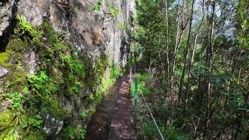Hiking on a Narrow Forest Trail Beside a Gently Flowing Stream Along the PR18 Levada do Rei Trail, Madeira Island