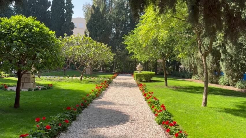 A garden path covered with white gravel, red geraniums planted on both sides, a garden sculpture of a ceramic vase, and trees of Peltophorum and Royal Delonix.
