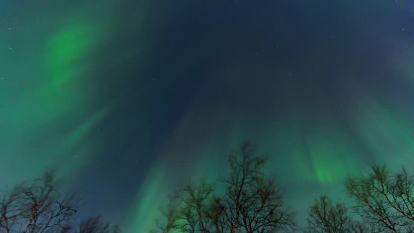 Northern lights glowing above bare trees in Finland, timelapse night sky view