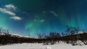 Northern Lights dancing above snowy Finnish landscape, serene winter timelapse scene - Powered by Shutterstock - Get 15% off with code: PIKWIZARD15