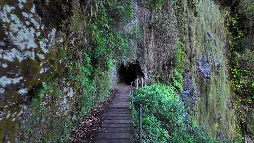 Levada Trail PR16 Leading to a Mysterious Dark Tunnel, Madeira, Portugal, Europe