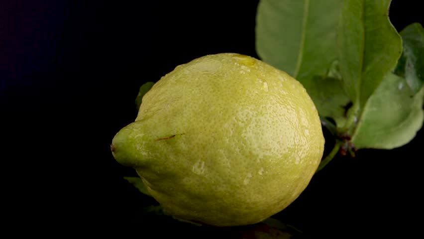 A fresh lemon spinning on a black background with water droplets on its surface.