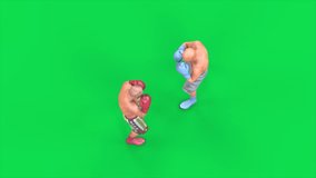 Green Screen Boxers Fight in the Ring Top 3D Animation Rendering CGI 4K - Powered by Shutterstock - Get 15% off with code: PIKWIZARD15