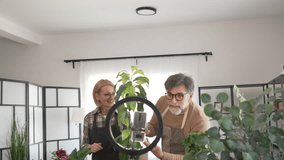 mature senior couple use mobile phone for live streaming and presenting home plants - Powered by Shutterstock - Get 15% off with code: PIKWIZARD15