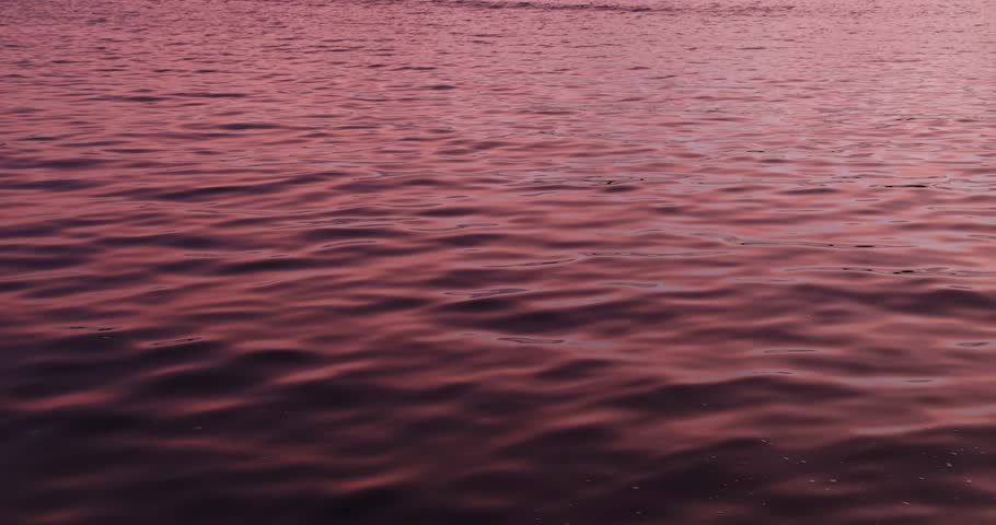 Gentle Ripples on Calm Water at Sunset in Sidney, BC, Canada