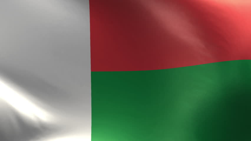 Madagascar flag waving perfect loop 4K