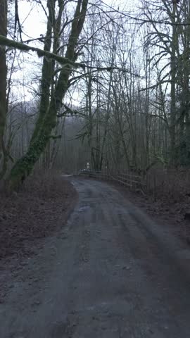 POV driving on a dirt road in the forest. The road is muddy and the trees are bare. A car is parked on the side of the road. British Columbia, Canada.