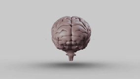 Animation of brain model with fluctuating graph lines for data analysis concept. Neuroscience, artificial intelligence, technology, innovation, data science, visualization - Powered by Shutterstock - Get 15% off with code: PIKWIZARD15