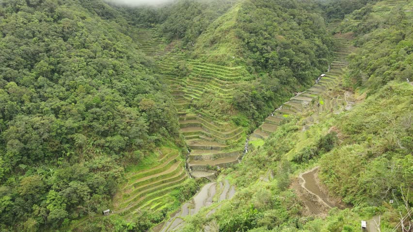 Aerial 4K drone view of the lush green Batad Rice Terraces in the Philippines. Cascading steps carved into the mountains, surrounded by dense forests and misty highland peaks.