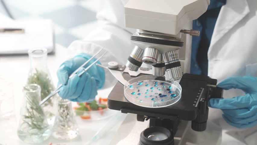 Middle-aged female laboratory worker wearing blue gloves conducts lab test on food ingredients lettuce, cucumber, pork. Using microscope, she analyzes nutrients, preservatives, food safety records. - Powered by Shutterstock - Get 15% off with code: PIKWIZARD15
