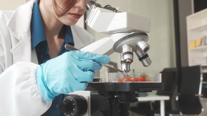 Middle-aged female laboratory worker wearing blue gloves conducts lab test on food ingredients lettuce, cucumber, pork. Using microscope, she analyzes nutrients, preservatives, food safety records. - Powered by Shutterstock - Get 15% off with code: PIKWIZARD15