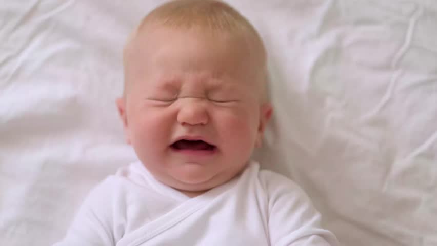 Shutterstock Video