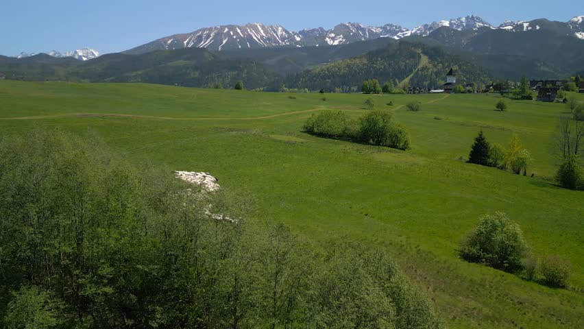 Aerial view of scenic mountain landscape with flock of sheep grazing on lush green pastures near the Tatra Mountains in summer, Poland