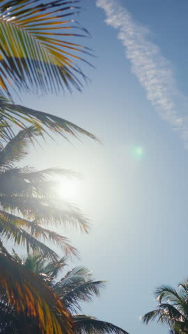 Summer traveling and rest in tropical garden, palms in park in sunny day. Beautiful scenery in territory of luxury hotel or resort on sea coast, trip to tropical islands, enjoy summertime and sunshine