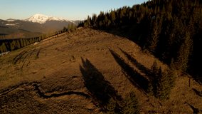 Aerial view of breathtaking mountain landscape at dawn, featuring snow-capped peaks against pastel pink and blue sky in the morning. Dense, dark forests cover the lower slopes. Carpathians, Ukraine. - Powered by Shutterstock - Get 15% off with code: PIKWIZARD15