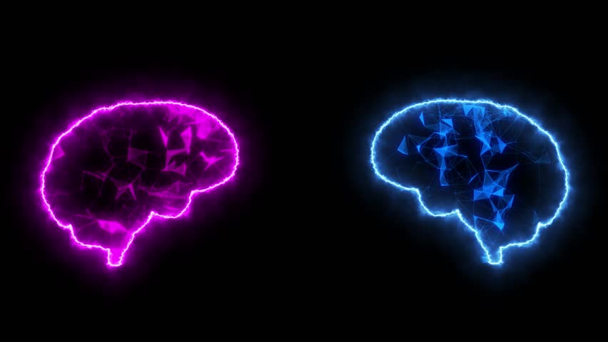 Male Vs Female Brain Compression Animation. What Male Think And What Female Think Video Concept. Female And Male Brain Differences Concept Glowing Neon Animation Background.
