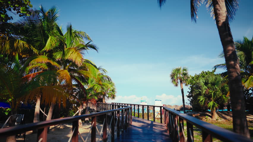 Enjoy summer and vacation, walk in beautiful tropical garden on ocean shore. Carefree rest in park with high beams and wooden path to sea beach, sunny summer day on territory of luxury resort hotel