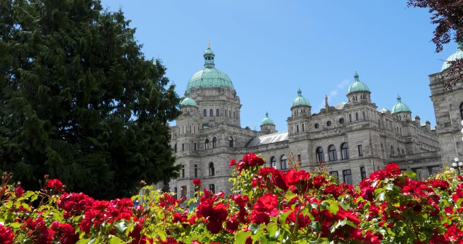 Beautiful flowers in the park in front of the Parliament Buildings in the summertime in Victoria, Canada, British Columbia.