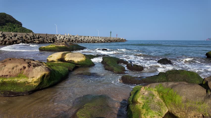 Feeling the wave - view 1