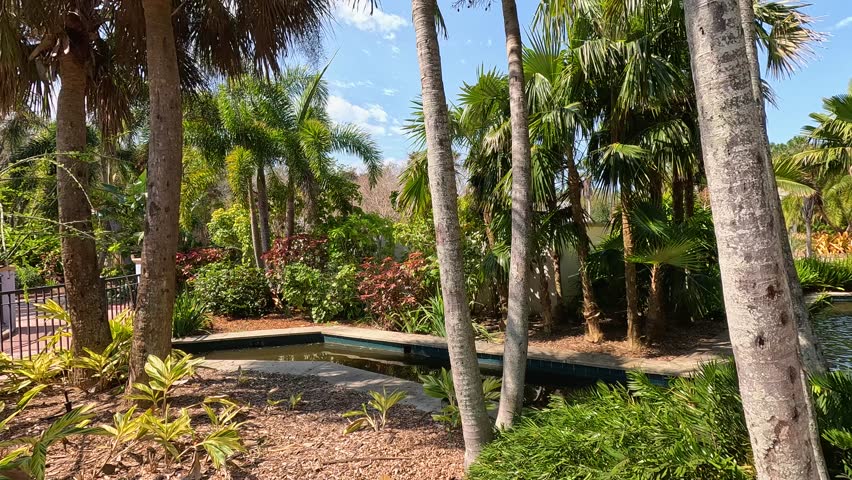 footage of a gorgeous landscape at the Florida Botanical Gardens with a lake surrounded by lush green trees and plants in Largo Florida USA