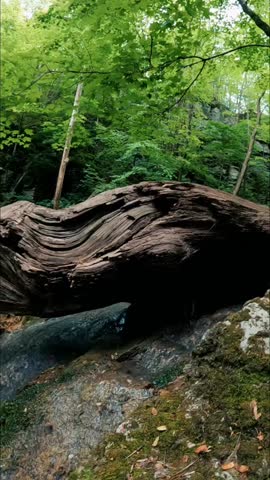 Beautiful natural scenery, a serene background, and a relaxing landscape concept