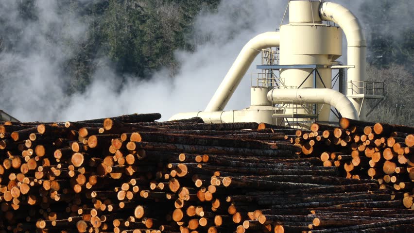 A working lumber mill in Shelton Washington.