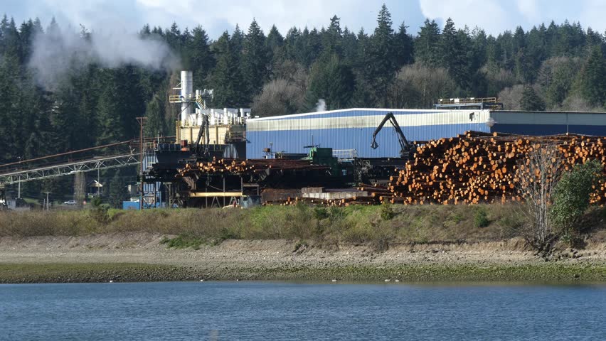 A working lumber mill in Shelton Washington.