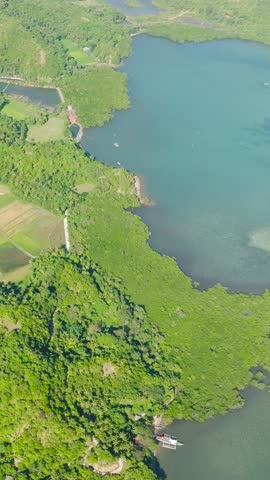 Green forest and turquoise sea water in tropical island. Santa Fe, Tablas, Romblon. Philippines. Vertical view.
