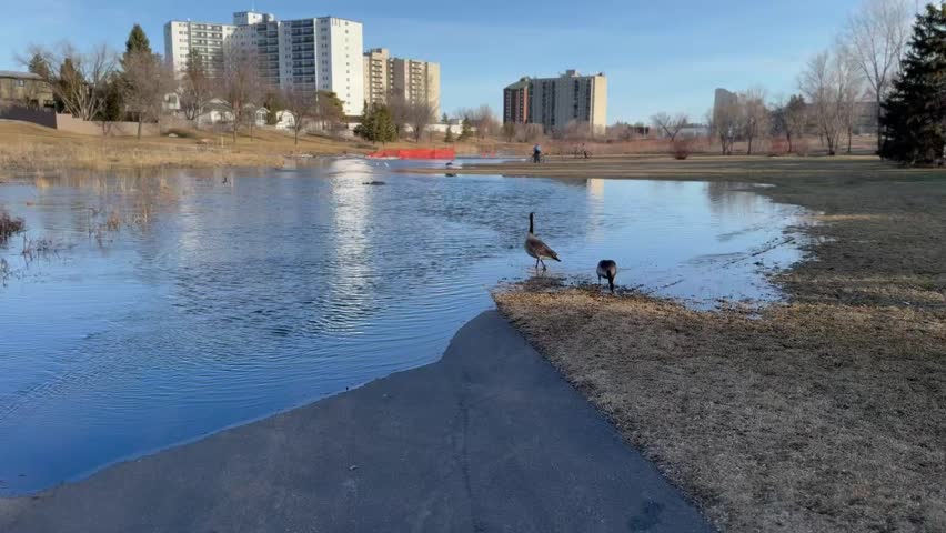 City park flooded during spring floods