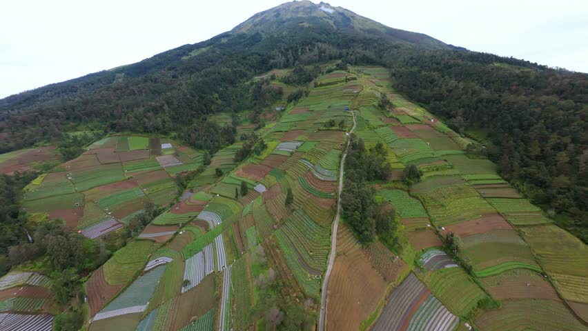 seeing the vegetable garden from above and seeing the beauty of the magnificent mountain, it