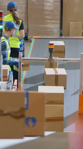 Vertical Screen: Employees Sorting and Loading Parcels, Packages, Cardboard Boxes on a Conveyor Belt in a Postal Office or Retail Shop Warehouse Facility, Ensuring Smooth Logistics Operations