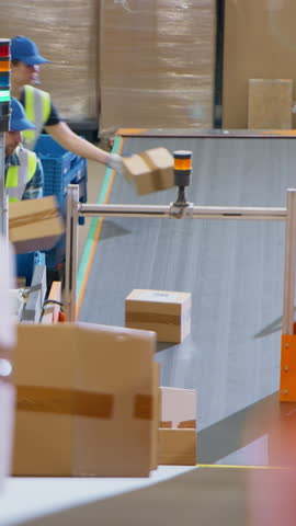 Vertical Screen: Employees Sorting and Loading Parcels, Packages, Cardboard Boxes on a Conveyor Belt in a Postal Office or Retail Shop Warehouse Facility, Ensuring Smooth Logistics Operations