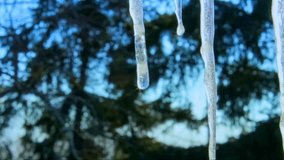 Melting and dripping icicle during spring thaw. - Powered by Shutterstock - Get 15% off with code: PIKWIZARD15