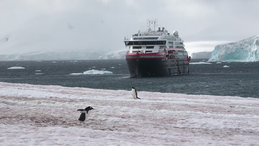Penguins walk on snow as a large cruise ship navigates icy waters near Antarctica