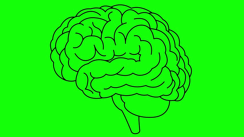 Animated linear black symbol of brain. Icon is shaking. Concept of idea, creative, intellect, education, mental health. Line vector illustration isolated on green background.