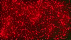 Recalculation of a digital cloud. Depth of field.Global Computer Network. Software source code and program data in the virtual space. Perfect to use as a technology or futuristic background. - Powered by Shutterstock - Get 15% off with code: PIKWIZARD15