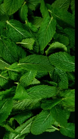Super Slow Motion of Flying Fresh Mint Leaves . Filmed on High Speed Cinema Camera , 1000 fps . Camera Placed on High Speed Cine Bot , Rotating .