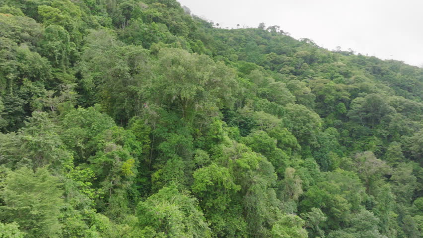 Experience the stunning aerial view of Costa Ricas lush mountains and diverse forests, highlighting the natural beauty and tranquility of this region paired with its vibrant ecosystem