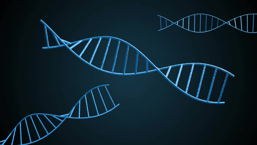 Forming network, animation of DNA strands with glowing connections in digital space. Biotechnology, genetics, science, molecular, innovation - Powered by Shutterstock - Get 15% off with code: PIKWIZARD15