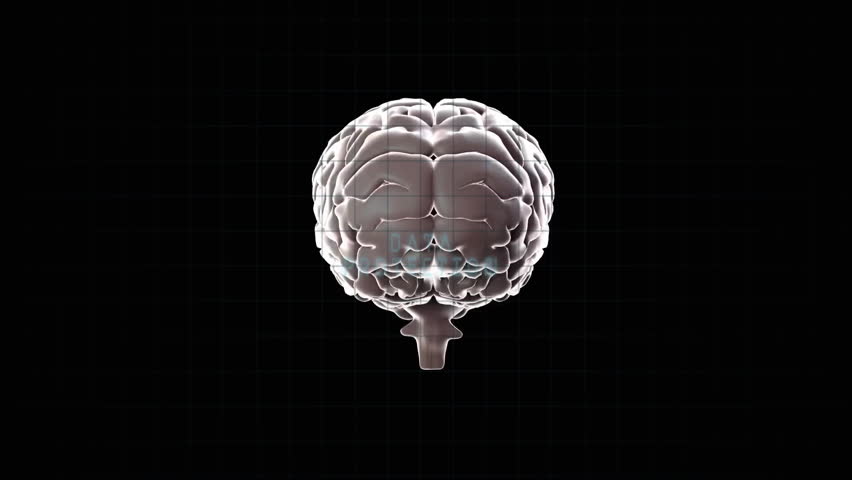 Human brain model with digital interface and data processing animation. Artificial intelligence, technology, innovation, virtual, neuroscience, cognitive - Powered by Shutterstock - Get 15% off with code: PIKWIZARD15