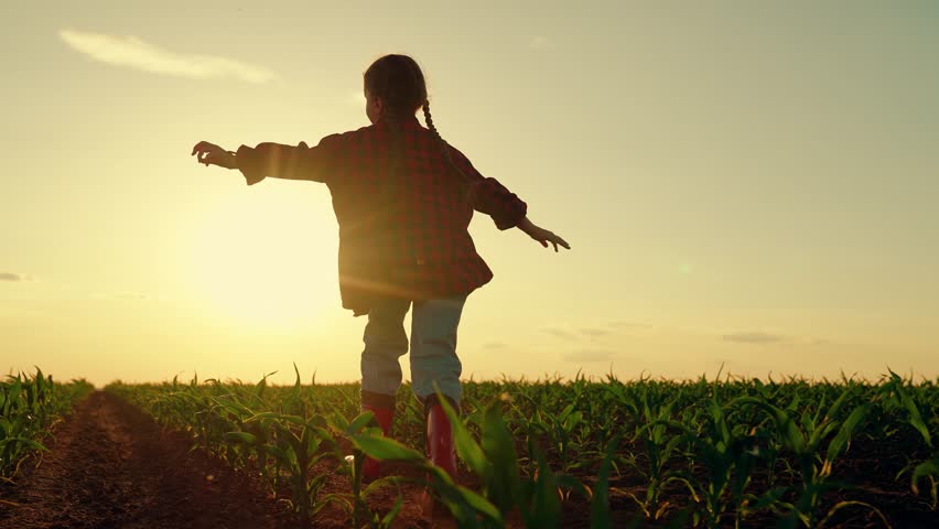 Happy little girl runs through field at sunset. Girl child runs through field of sprouts in rays of sun, silhouette. Kid girl dreams of playing in nature. Children running. Little girl in outdoor, sky