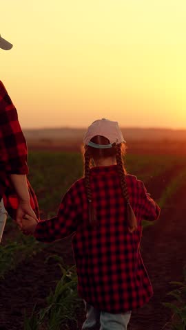 Mother, child walk together hand in hand on plantation. Farmer mom little daughter work together on green field of sprouts. Family business. Mom farmer child walk on field with sprouts. Agriculture